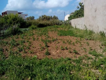 Un terrain à vendre à Hammamet