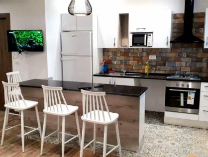 Bel Salon + 2 Chambres avec Jardin